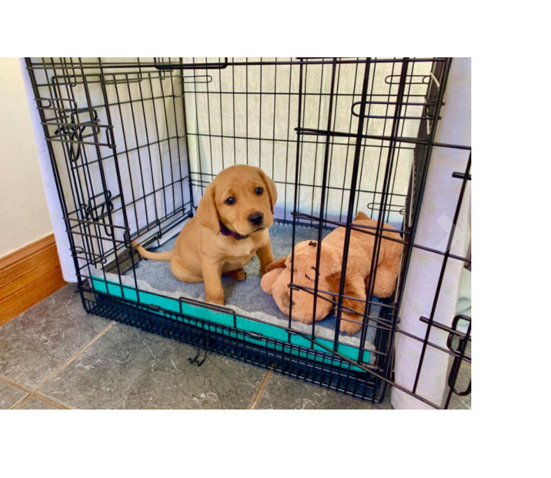 Interactive Heartbeat Puppy Plush Toy